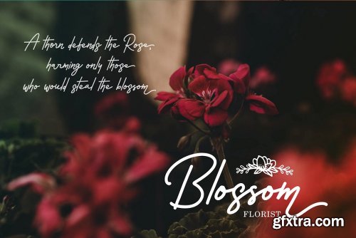 CreativeMarket Rossela - Signature Font + Extras 3066029