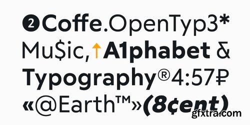 RF Tone Font Family - 16 Fonts