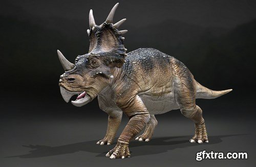 Styracosaurus 3D Model