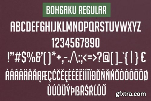 Bohgaku Family Font Family - 4 Fonts