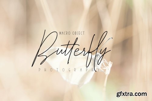 Elegantly & Modest Duo Font Family - 6 Fonts