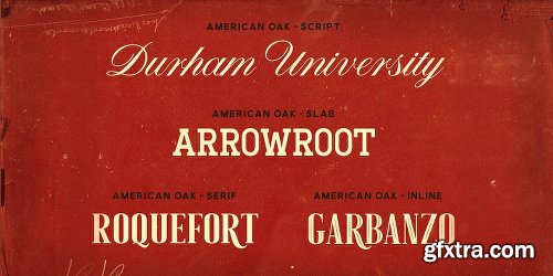 American Oak Font Family - 4 Fonts