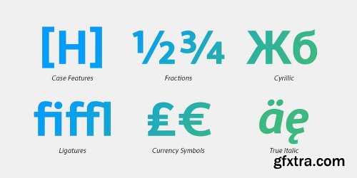 Scholar Sans Font Family - 16 Fonts