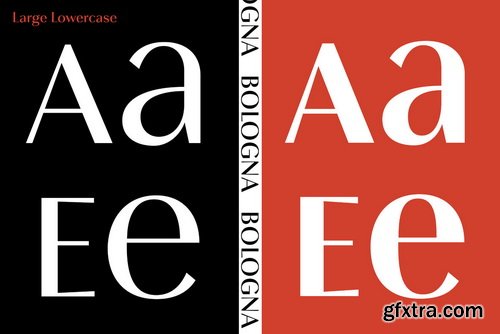 Bologna Font Family