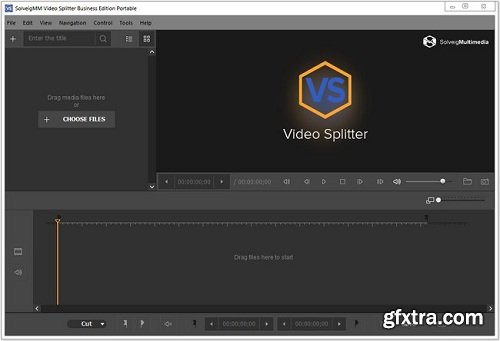 SolveigMM Video Splitter Business 6.1.1811.15 Multilingual