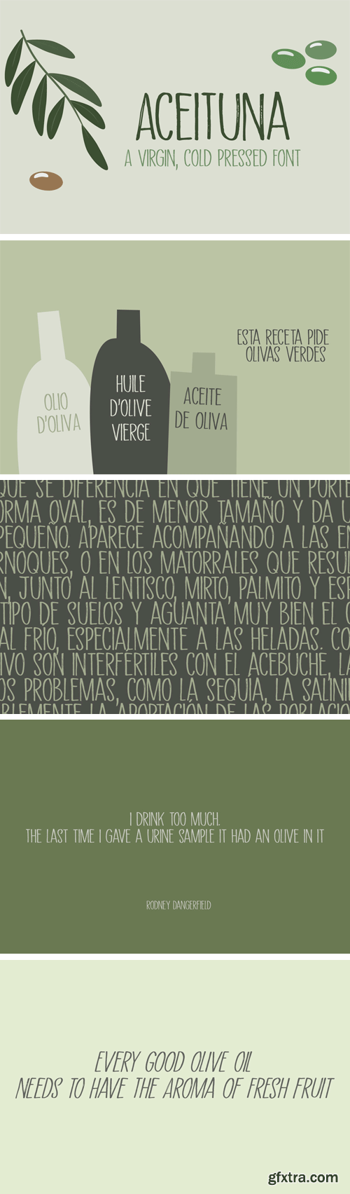 Aceituna Font Family