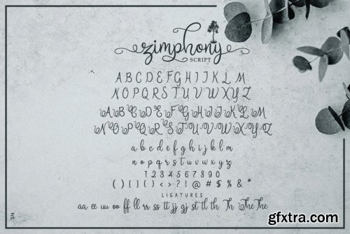 Zimphony Duo Font Family - 3 Fonts