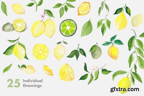 Lemons & Limes Watercolor Collection