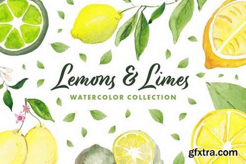 Lemons & Limes Watercolor Collection