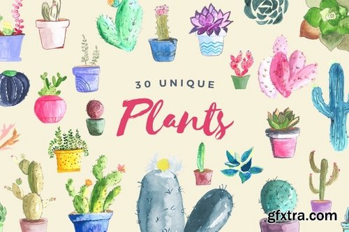 Watercolor Succulent Collection