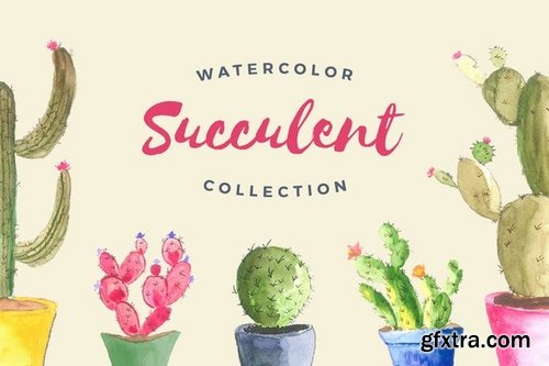 Watercolor Succulent Collection