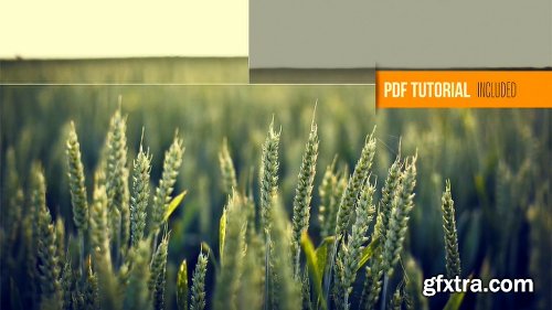 Videohive Clean Photography Promo 6552029