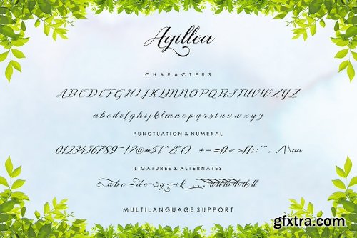 FontBundles Agillea Script Font