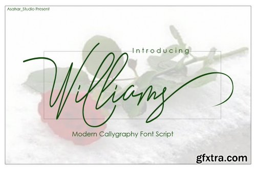 FontBundles Williams Font