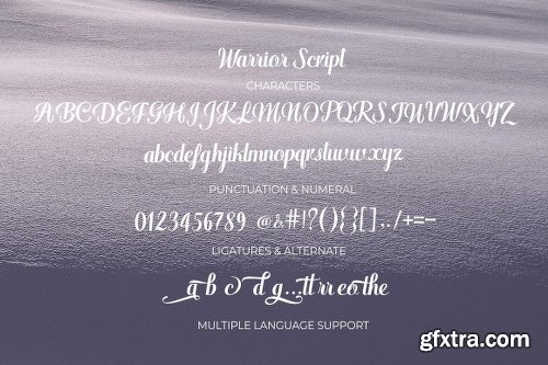 CreativeMarket Warrior Script 3134755