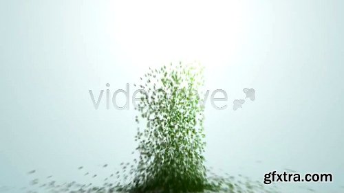 Videohive Creation 4076175