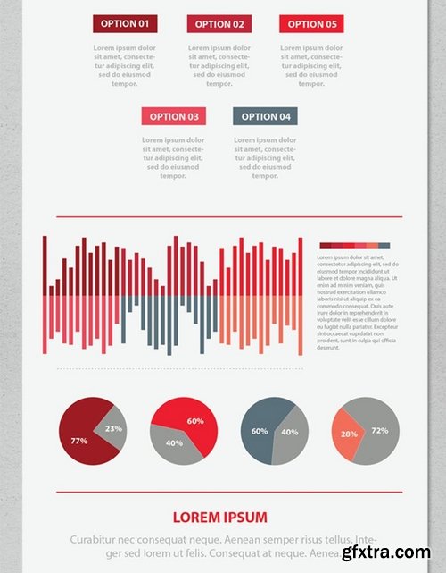 Red Info Graphic Elements Design