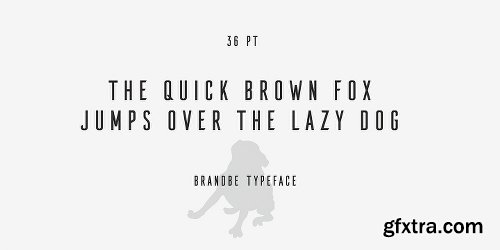 Brandbe Font Family - 3 Fonts