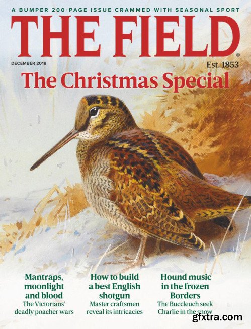 The Field - December 2018