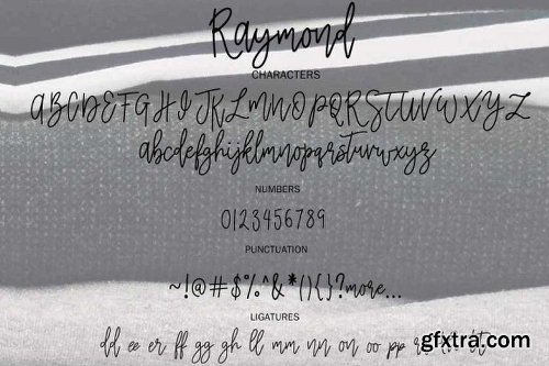 CreativeMarket Raymond | Branding Font 2194217