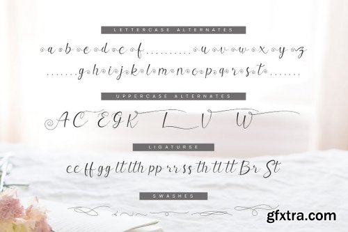 Valerissa Script Font