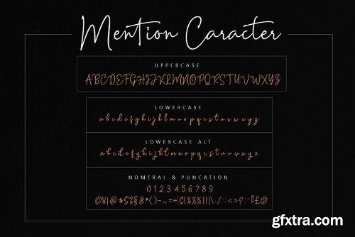 CreativeMarket Mention Signature and 251 Ligature 2611858