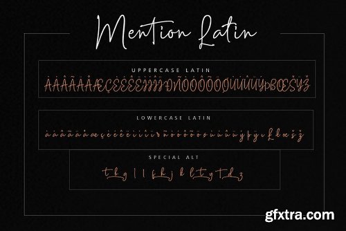 CreativeMarket Mention Signature and 251 Ligature 2611858