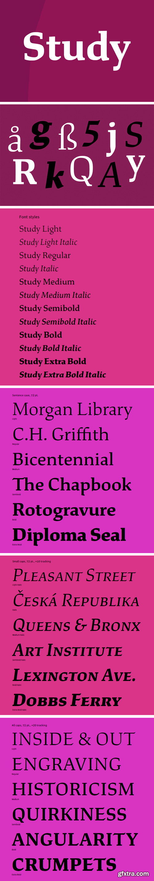 Study Font Family