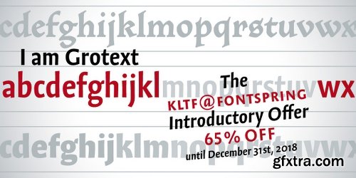 Grotext Font Family - 14 Fonts