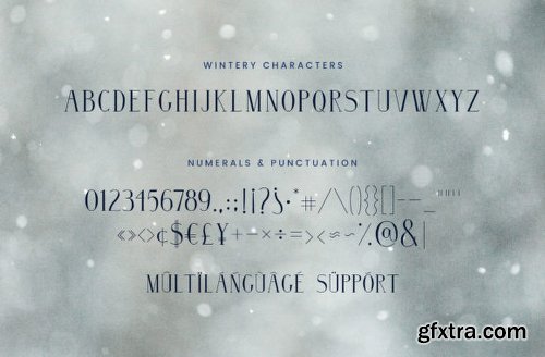 Wintery Family Font Family - 3 Fonts