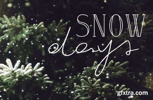 Wintery Family Font Family - 3 Fonts