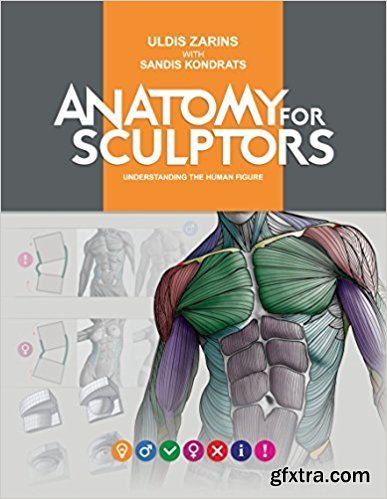 Anatomy for Sculptors Understanding the Human Figure