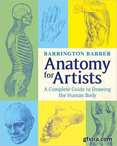 Anatomy for Artists: The Complete Guide to Drawing the Human Body