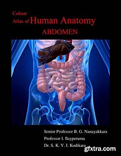 Colour Atlas of Human Anatomy - Abdomen