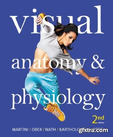 Visual Anatomy & Physiology, 2 edition