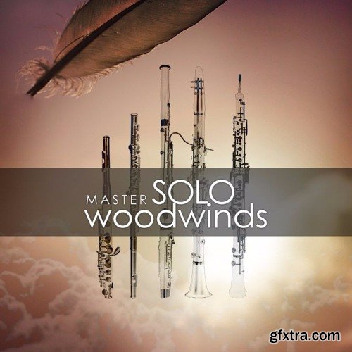 Auddict Master Solo Woodwinds Bundle KONTAKT-ADW