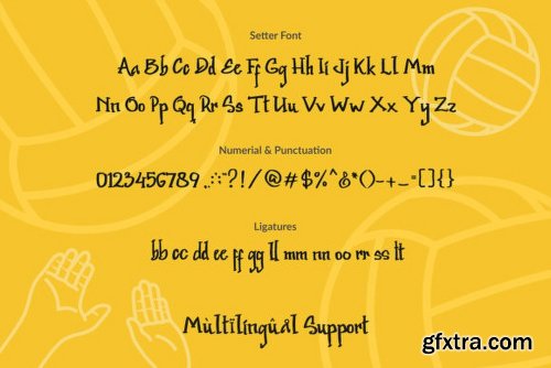 Setter Font