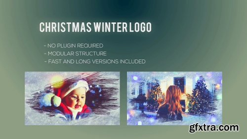 Videohive Christmas Winter Logo 22847584