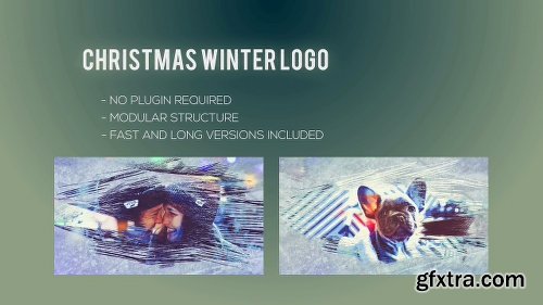 Videohive Christmas Winter Logo 22847584