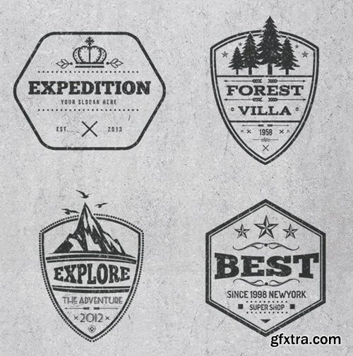 Vintage Logos and Badges Design