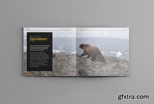 Photography Portofolio Templates