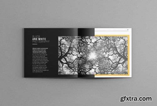 Photography Portofolio Templates