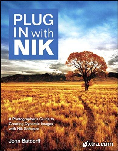 Plug In with Nik: A Photographer's Guide to Creating Dynamic Images with Nik Software