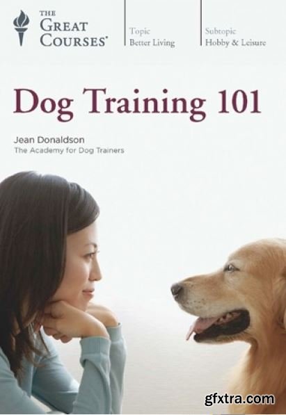 Dog Training 101