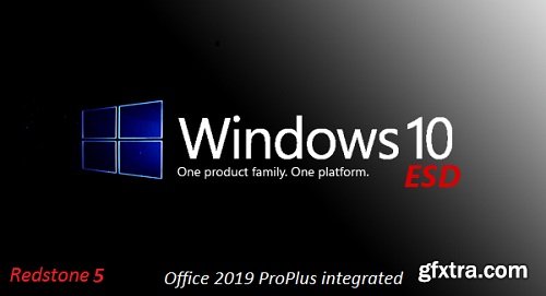 Windows 10 Pro X64 RS5 incl Office 2019 en-US November 2018