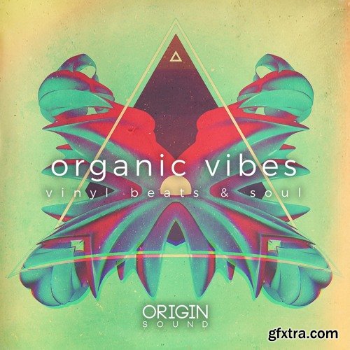 Origin Sound Organic Vibes Vinyl Beats And Soul WAV MiDi-DISCOVER