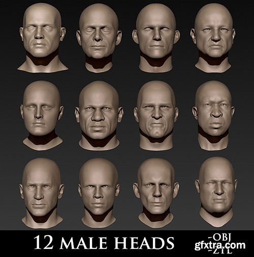 Cubebrush - 12 Male Heads