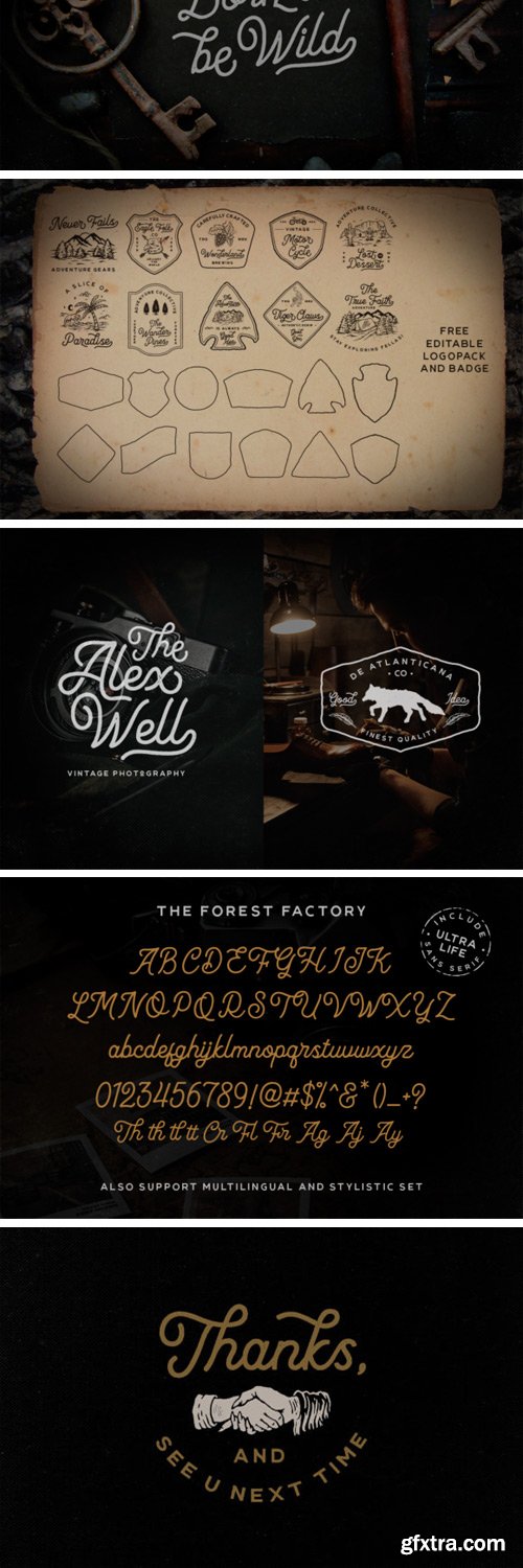 CM - The Forest Factory + Bonus 3096319