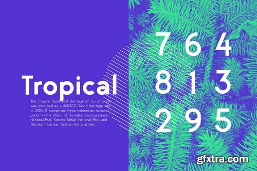 Maxim Sans Font Family