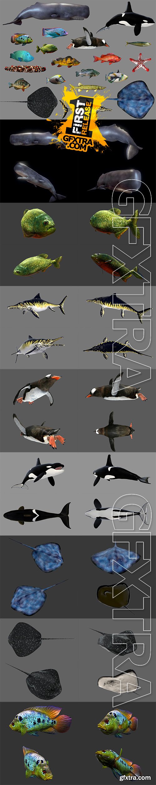 Cubebrush - Low poly Fish Collection Animated Pack 3